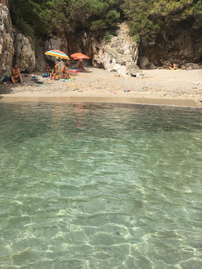 Casa Vacanza Maria Antonieta マリーナ・ディ・カメロータ エクステリア 写真