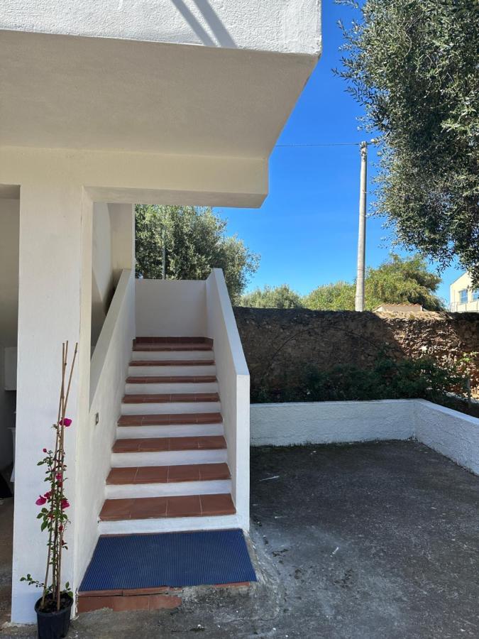 Casa Vacanza Maria Antonieta マリーナ・ディ・カメロータ エクステリア 写真
